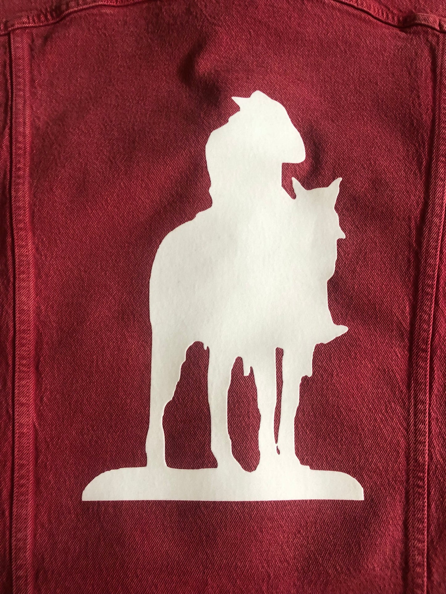 Cowboy Trucker Jacket