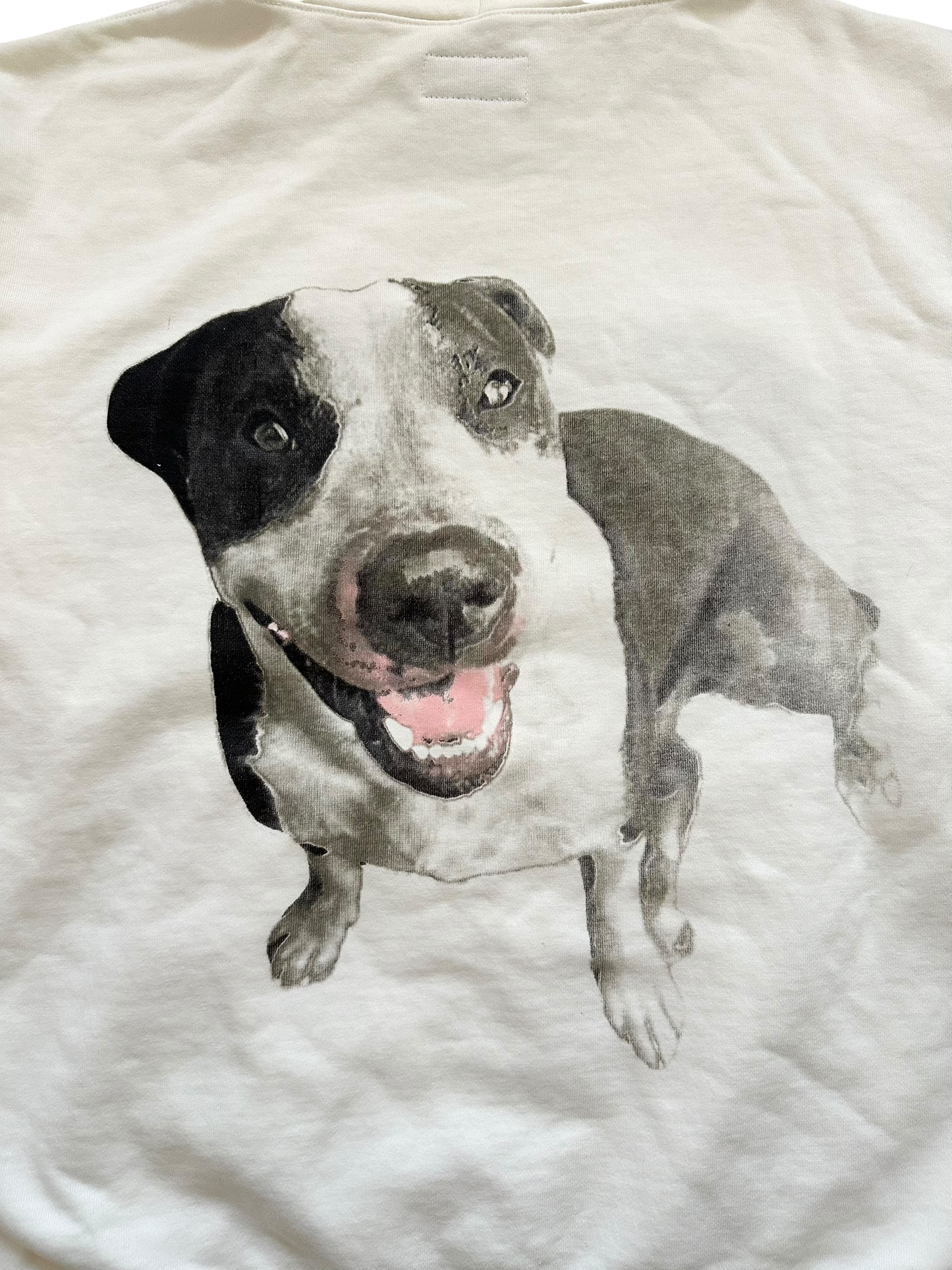 Underdog Hoodie