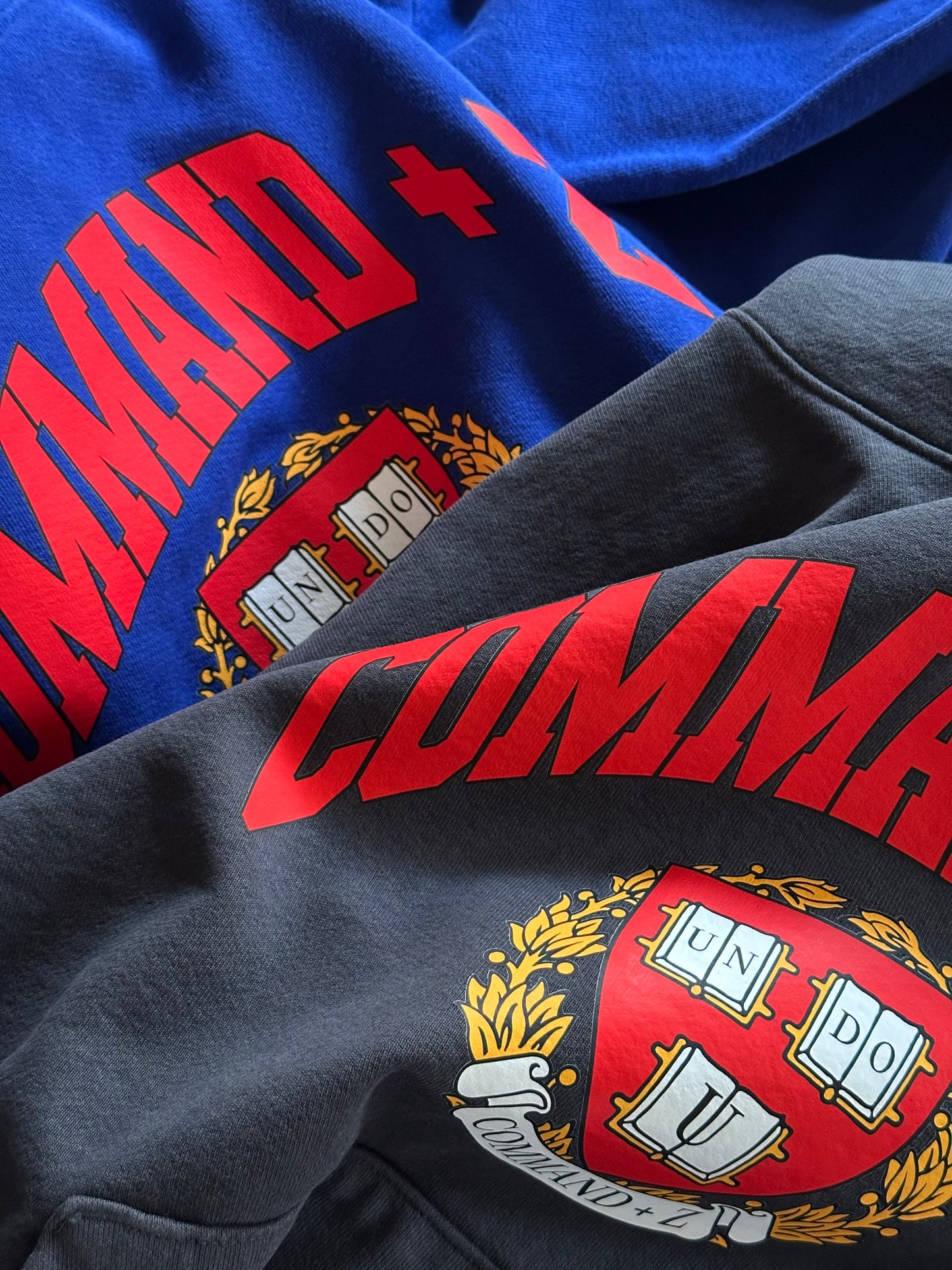 Valedictorian Hoodie