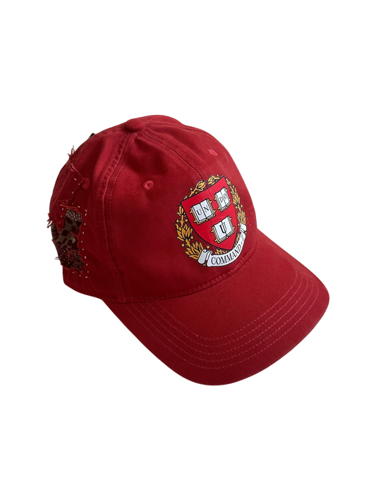 *1 of 1* Patchwork Cap