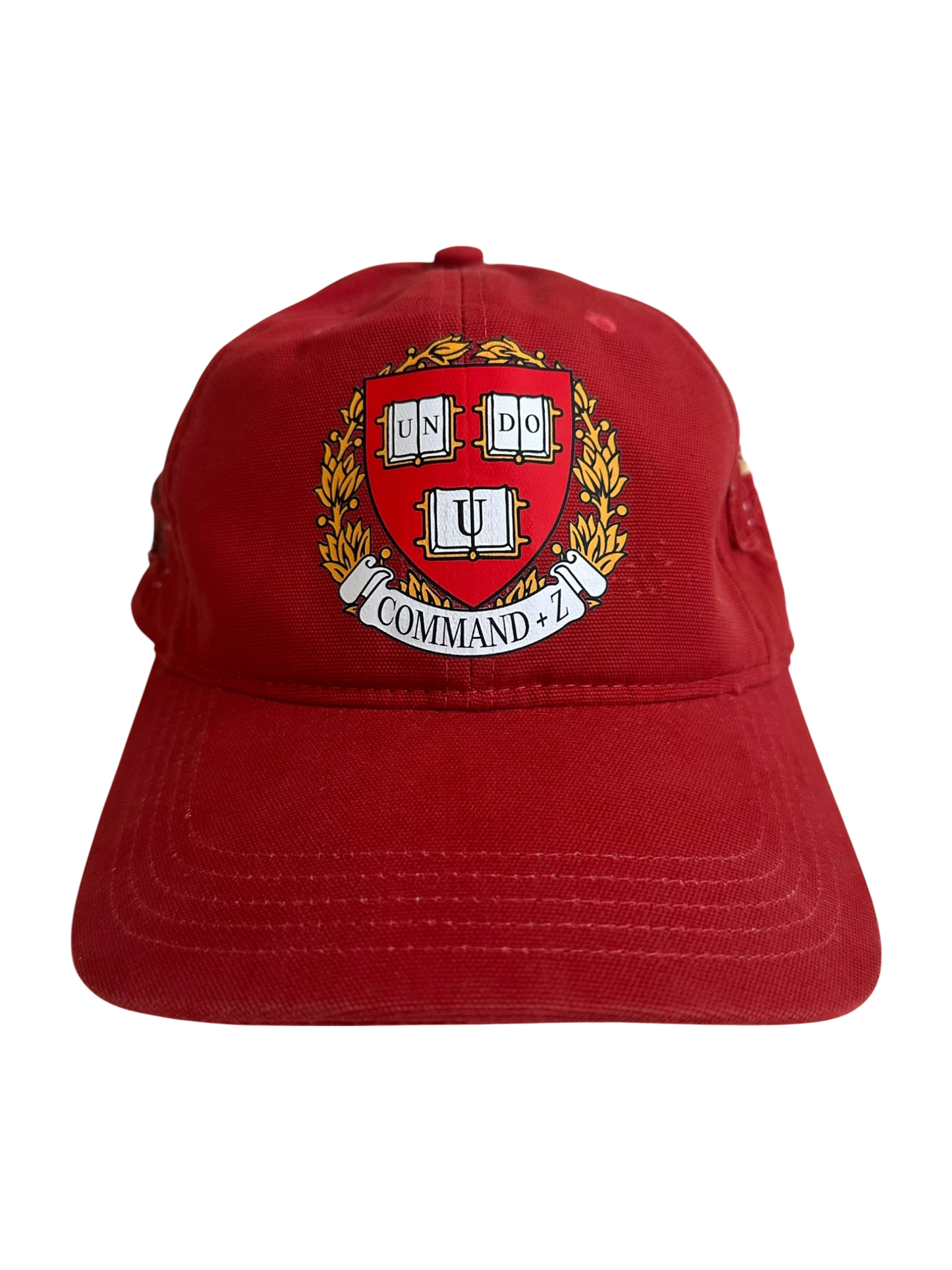 *1 of 1* Patchwork Cap