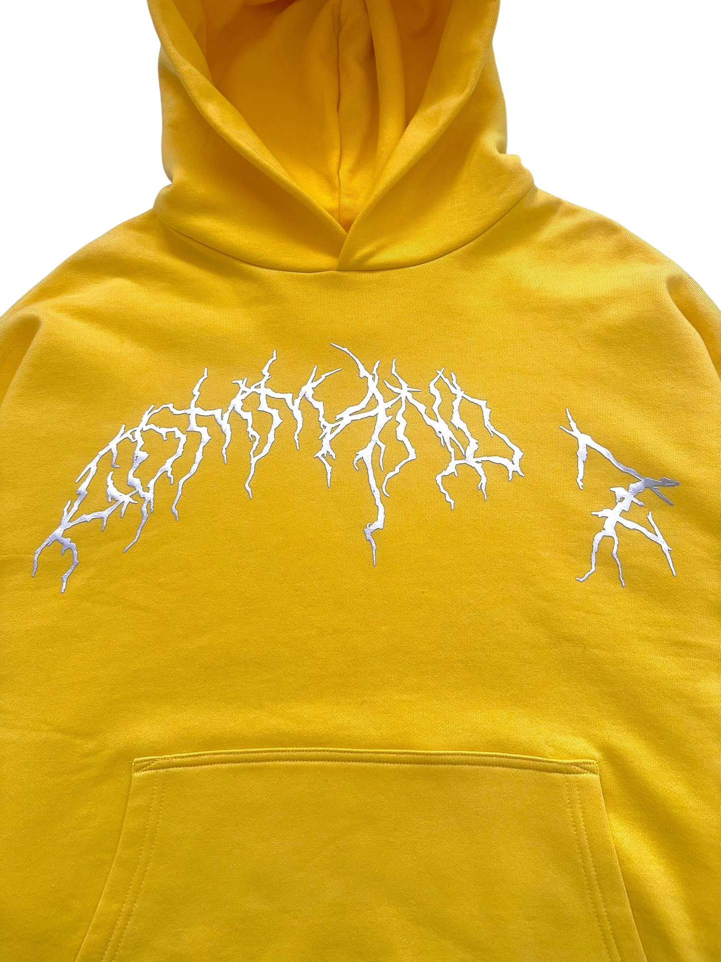 Metal Logo Hoodie (Sample Colorway)